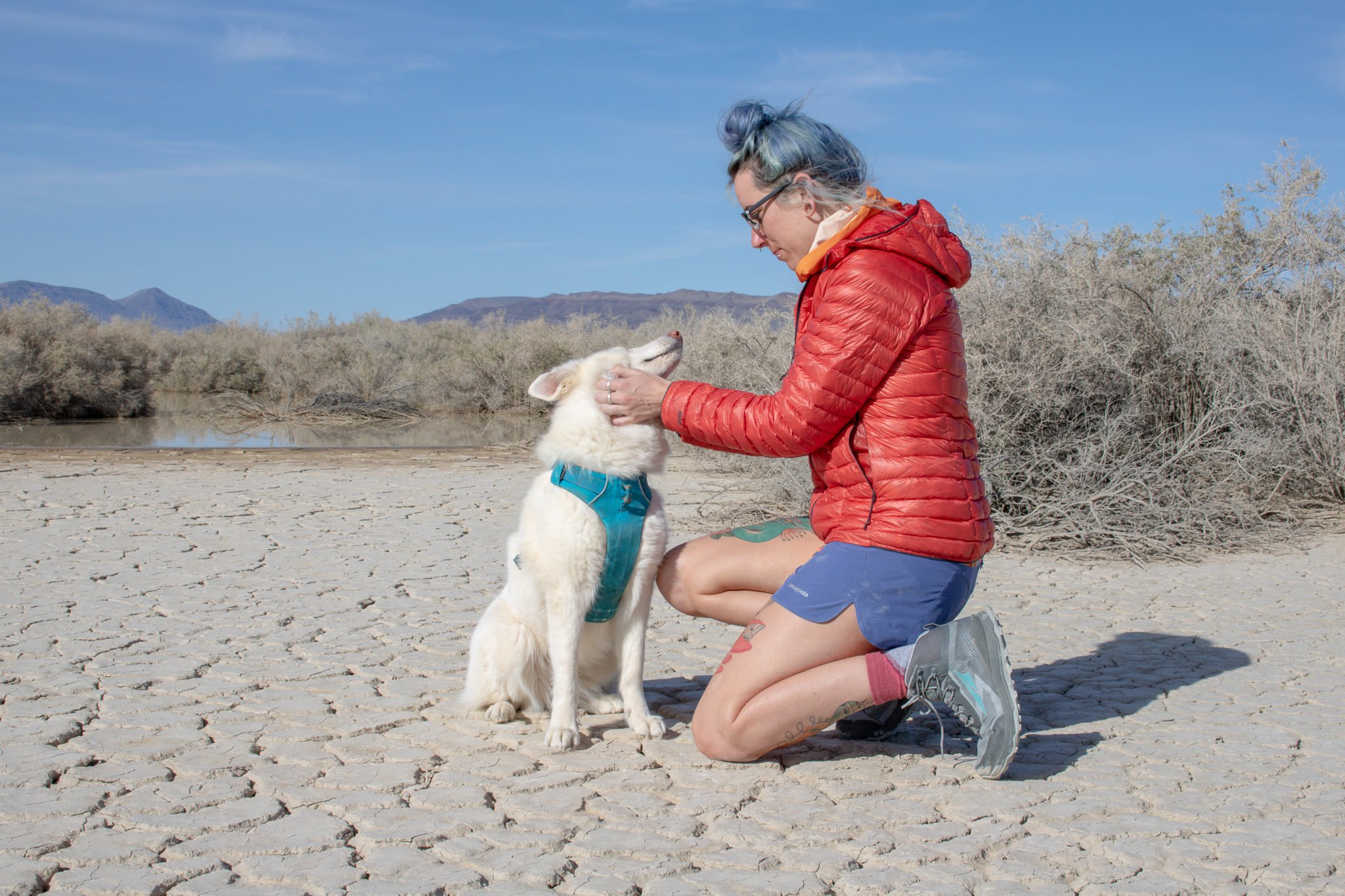 A hiker in a desert wearing the Patagonia Nine Trails Shorts and petting a dog