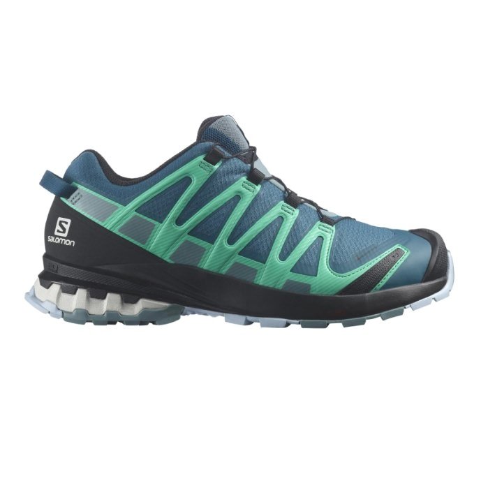 Salomon XA Pro 3D V8 GTX Hiking Shoes