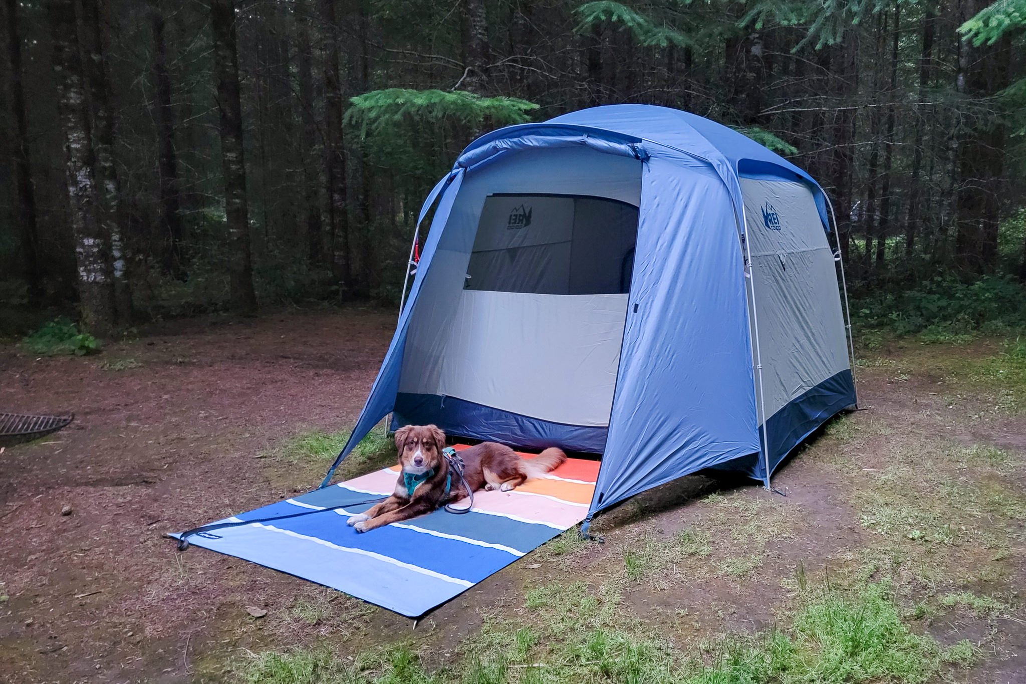 The REI Skyward 4 Tent