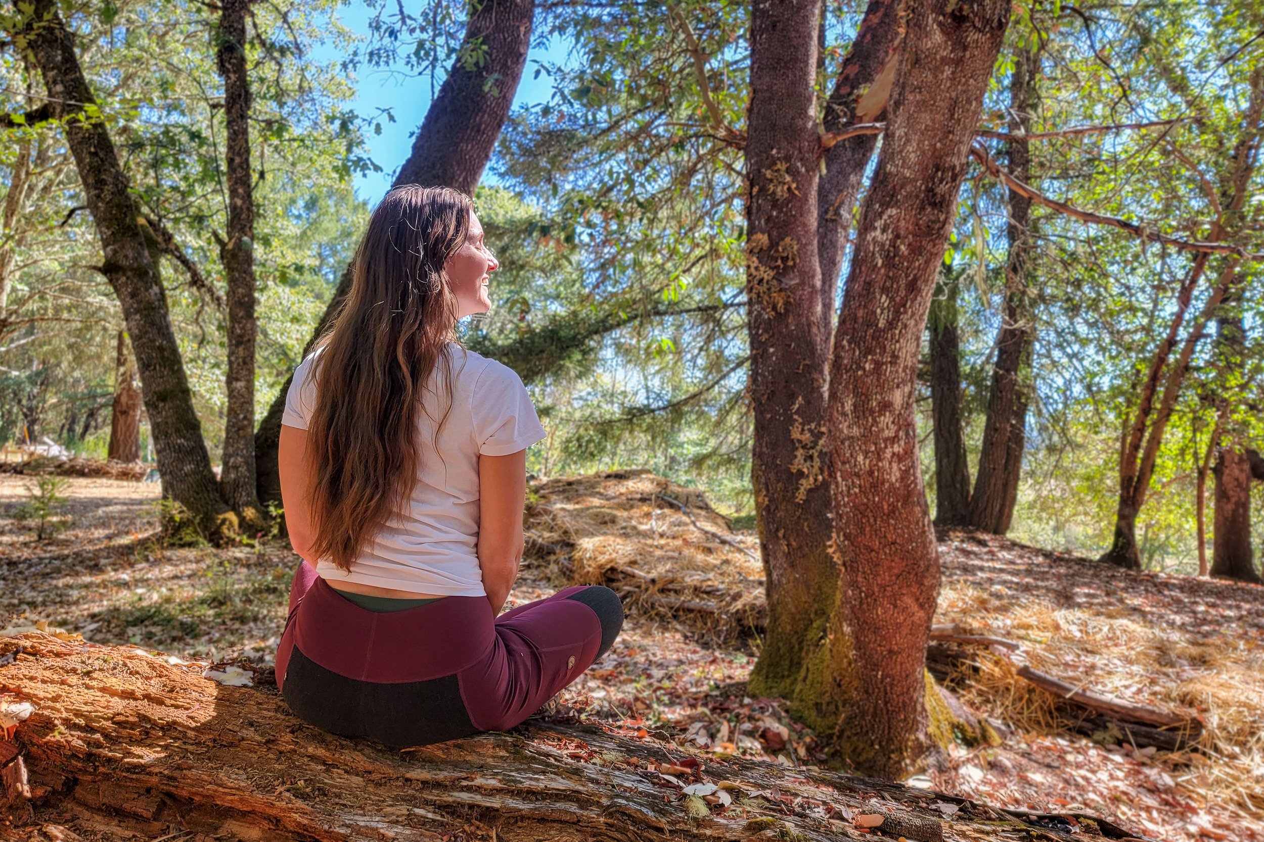 A hiker sitting on a downed log in the Fjallraven Abisko Trekking Tights