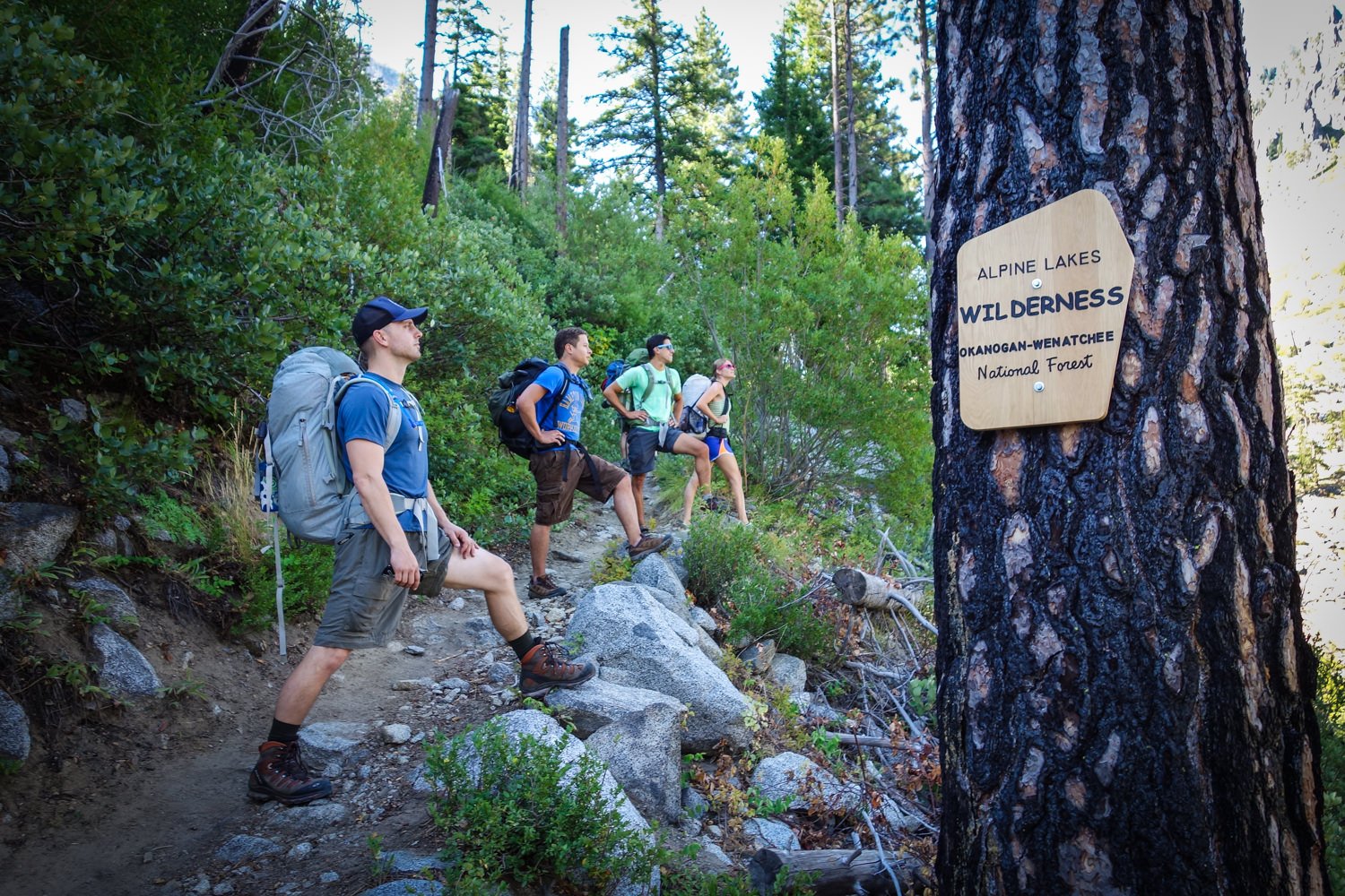 Four hikers in hiking shorts standing in a row with a foot up on a log