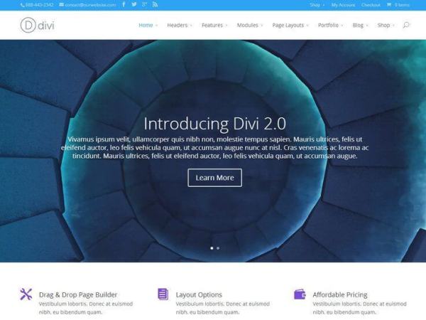 Divi is another impressive wordpress theme from the house of ElegantThemes