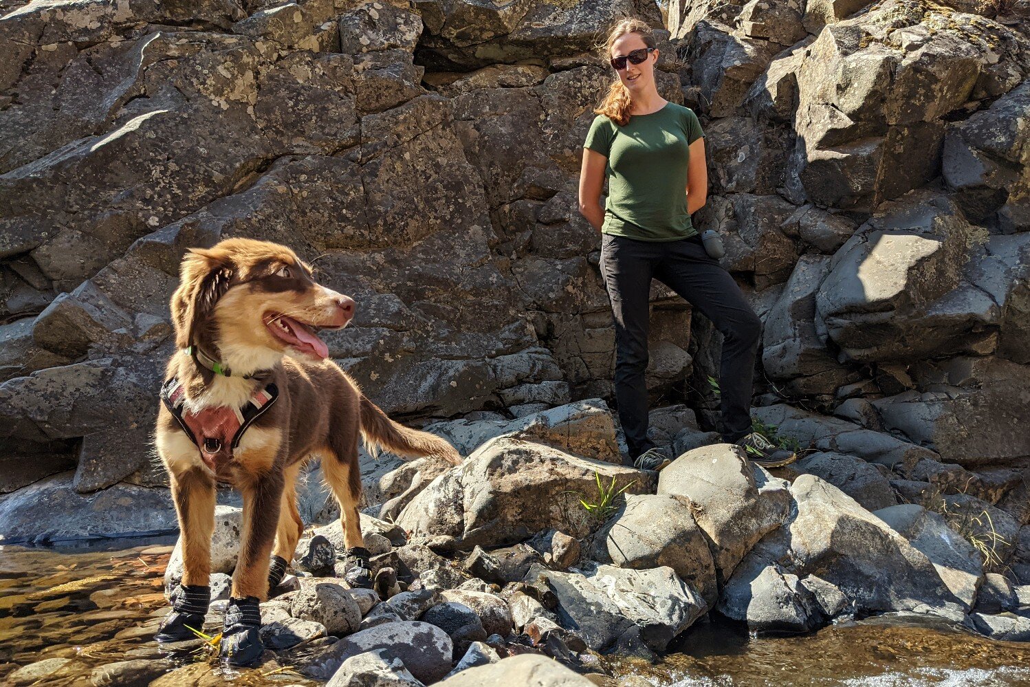 The Expawlorer Waterproof boots are a good option for keeping senstivie puppy paws off hot rocks