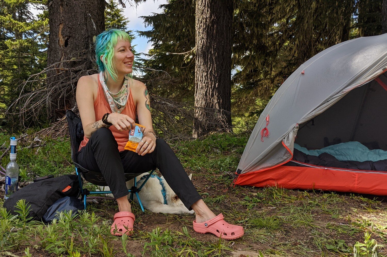 Clif Bars are some of our favorite energy bars because they have a nice texture, and they come in a huge variety of flavors