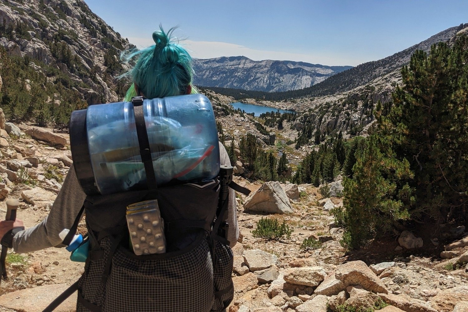 A hiker wearing a backpack with a bear canister strapped to it looking at a mountain view