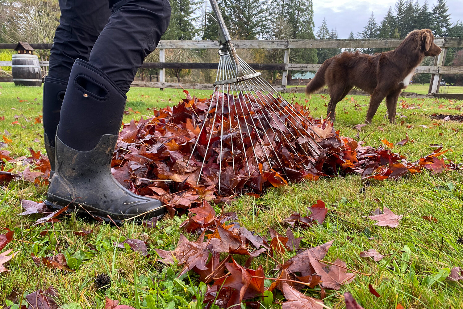 The Bogs Classic High are comfortable and infinitely useful when conditions are wet and chilly.