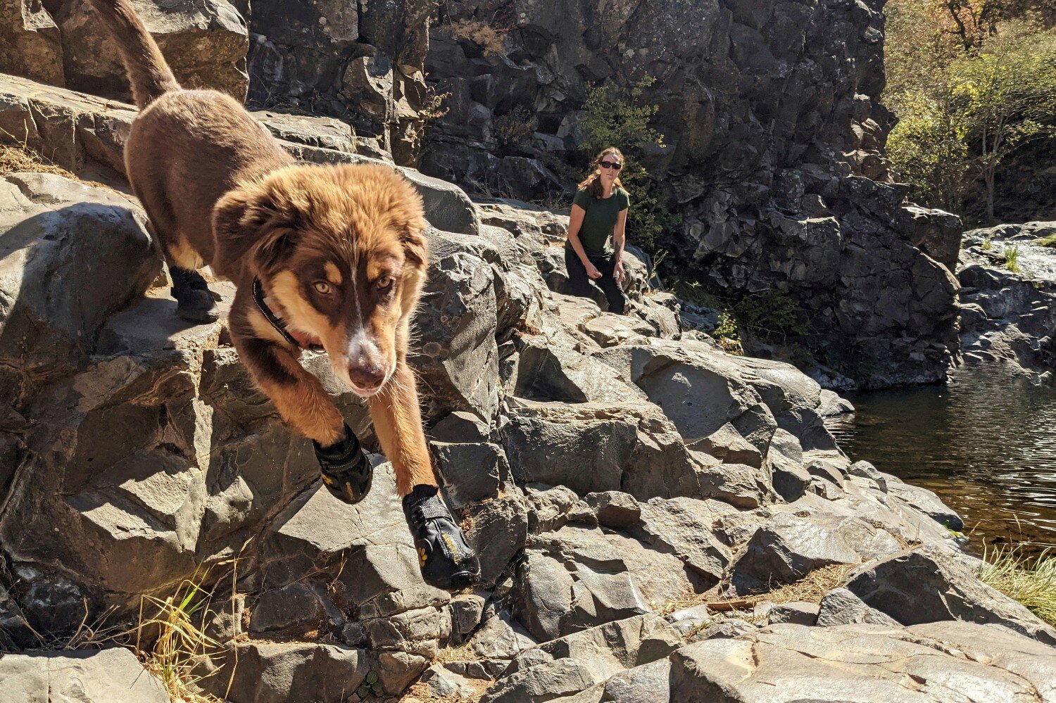 The Expawlorer Waterproof boots are a great first boot to try because they’re affordable &amp; easy to put on