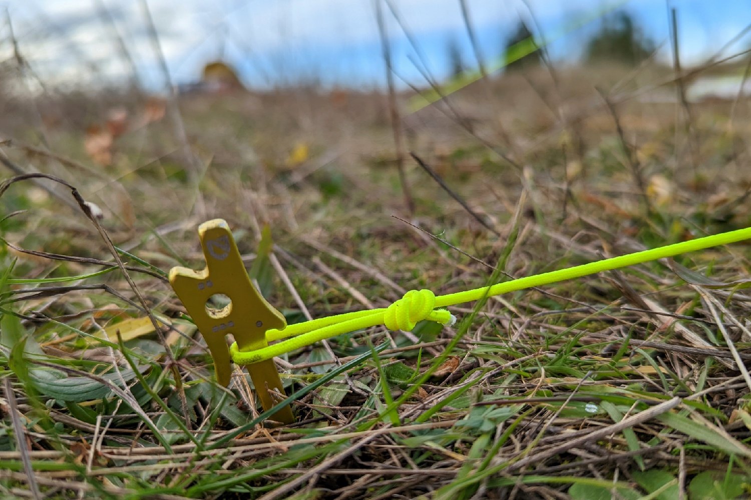 A NEMO Airpin stake in the ground with a yellow guyline attached