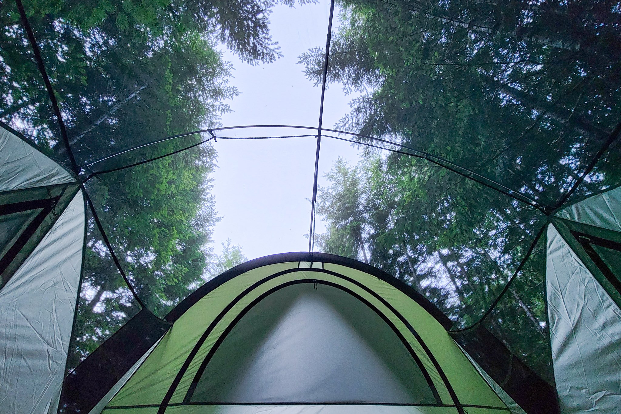 Looking up towards the sky from inside the REI Wonderland 4 Tent