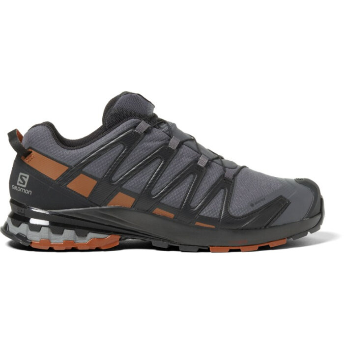 Salomon XA Pro 3D V8 GTX Hiking Shoes.jpg