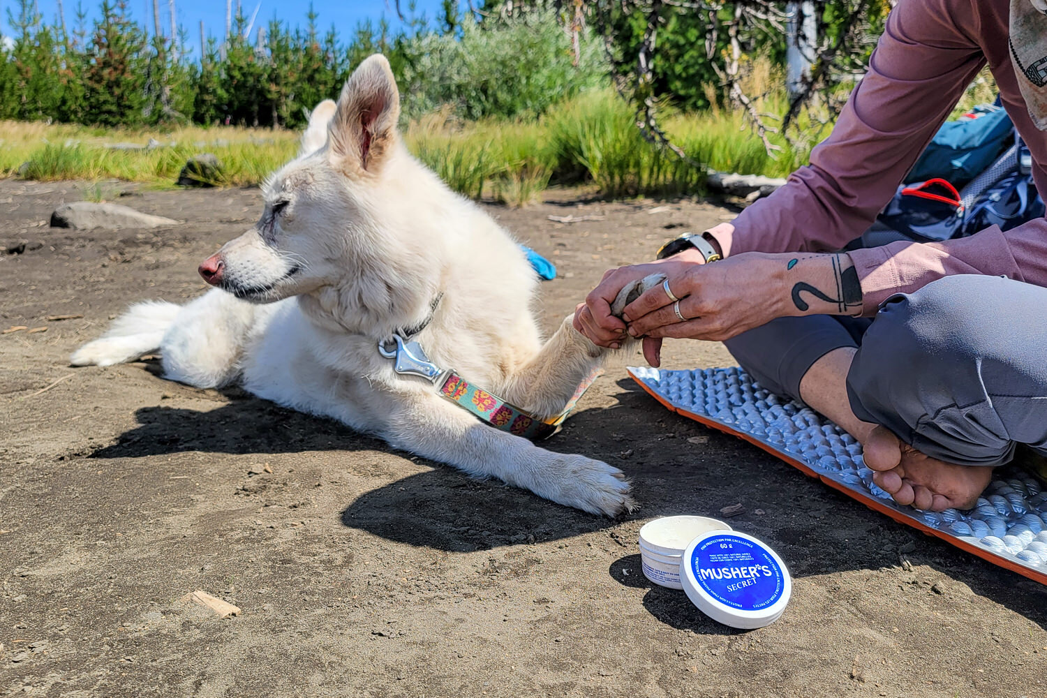 Musher’s Secret Wax PROTECTS YOUR DOG'S PAWS FROM SAND, SNOW, &amp; HOT SURFACES