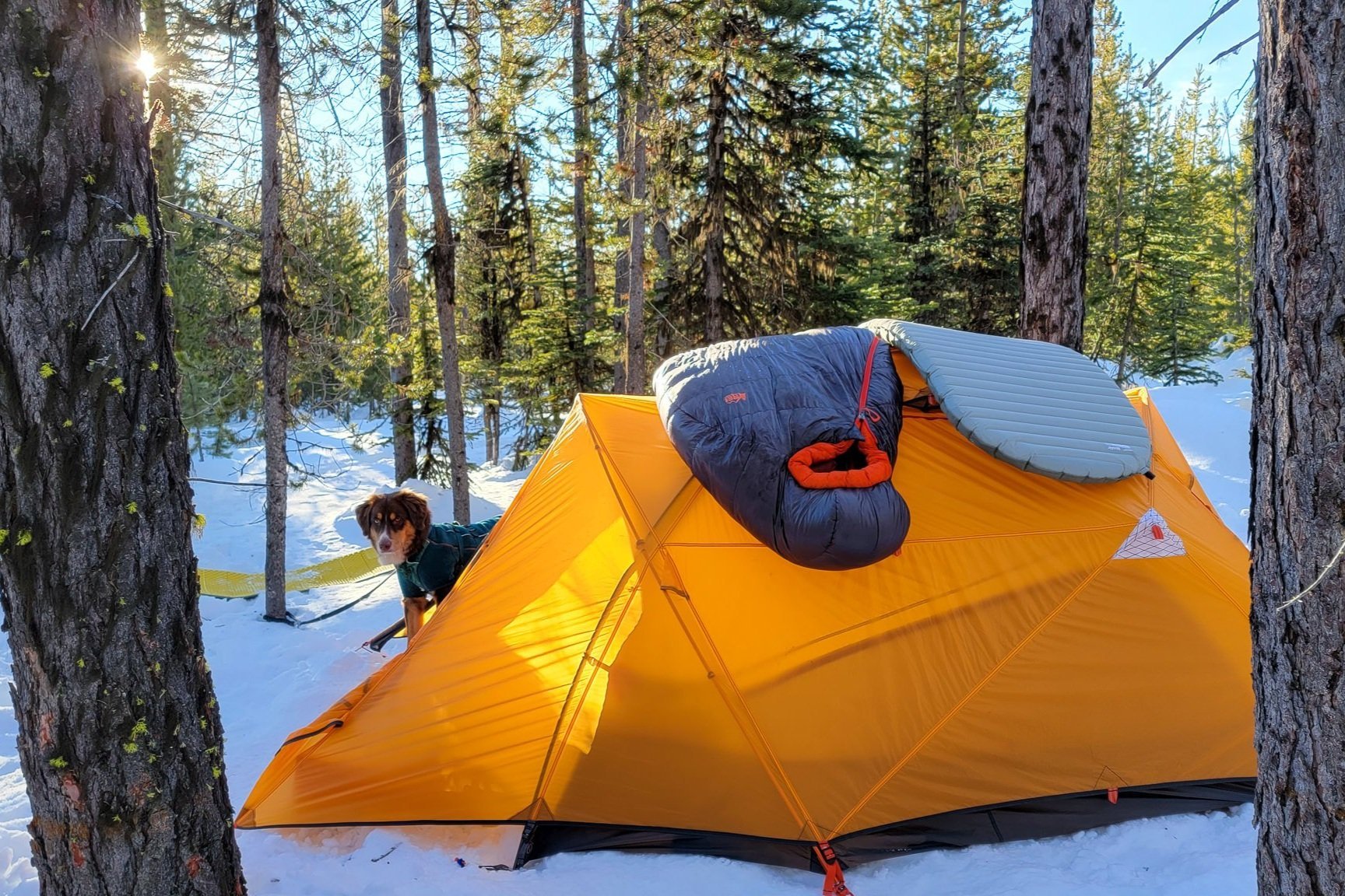 REI Magma sleeping bag over a tent in the woods during the winter