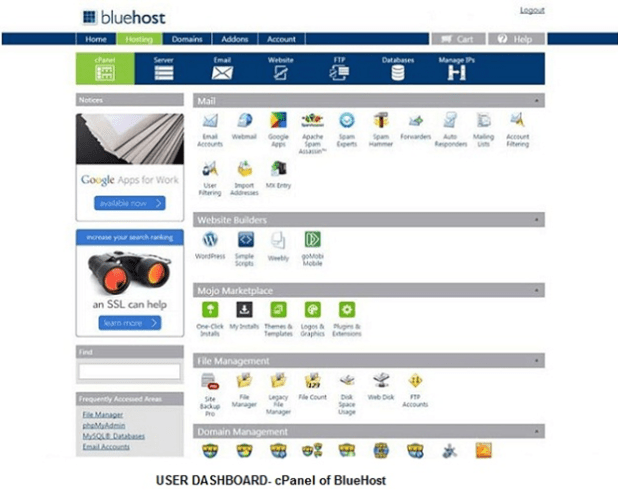 BlueHost Web Hosting cPanel