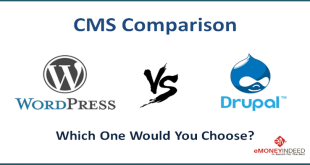 CMS Comparison WordPress vs Drupal – A Guide