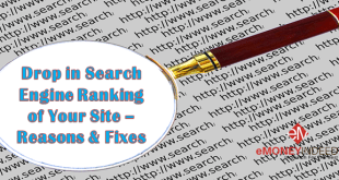 Drop in Search Engine Ranking of Your Site - Reasons and Fixes