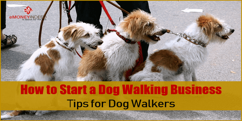 How to Start a Dog Walking Business Tips for Dog Walkers