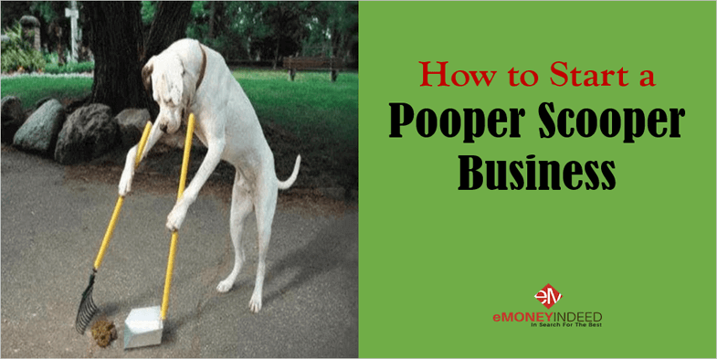 How to Start a Pooper Scooper Business