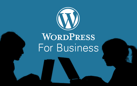 wordpress more than just a blogging platform